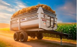 Carreta Agricola Basculante Cbtec 6000 Vagao- 7,5M³- Tandem- Com Pneus 11Lx15- Tecmesteel